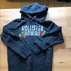 Hollister sweatshirt